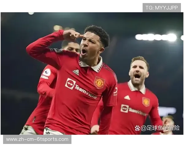 英超联赛中因斯球员的表现与贡献分析